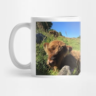 Scottish Highland Cattle Calf 1495 Mug